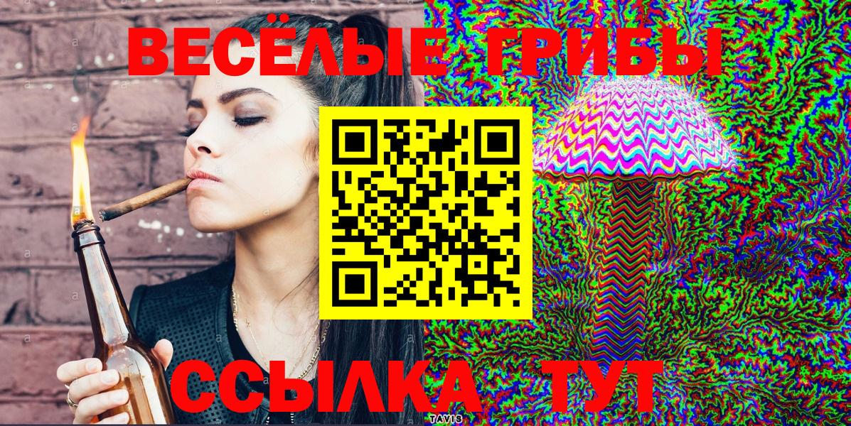 Галлюциногенные грибы Cubensis Вязьма