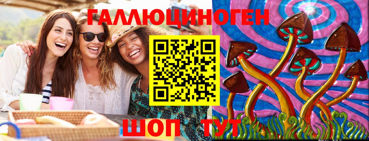 Вязьма  как найти закладки  Вход с VPN  Псилоцибиновые грибы GOLDEN TEACHER  Галлюциногенные грибы GOLDEN TEACHER 