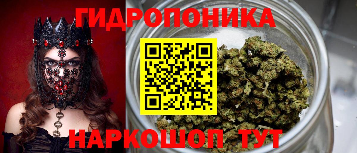 Каннабис планчик  Вход с VPN  Бошки марихуана Ganja  Вязьма 
